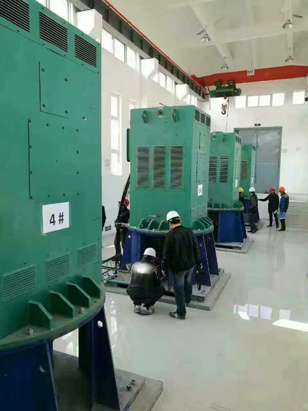 七坊镇某污水处理厂使用我厂的立式高压电机安装现场